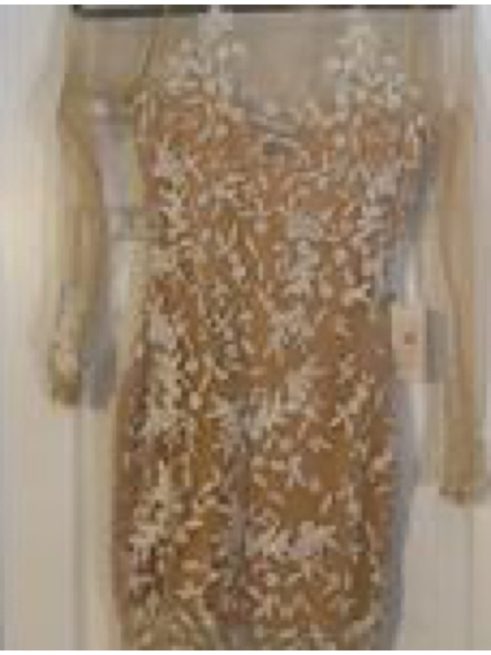 L'ATISTE Mesh Mini Dress